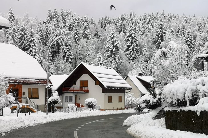 Snijeg u Gorskom kotaru (foto Diana Zbašnik / Istramet)
